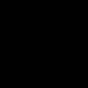 Meet your Posher, Evan